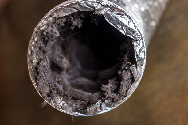 Best Residential Air Duct Cleaning  in Twin Lakes, NM